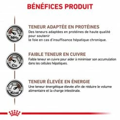 ROYAL CANIN Cat Hepatic -Alimentation boutique royal canin cat hepatic 3