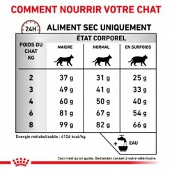 ROYAL CANIN Cat Hepatic -Alimentation boutique royal canin cat hepatic 6