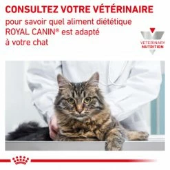 ROYAL CANIN Cat Hepatic -Alimentation boutique royal canin cat hepatic 7