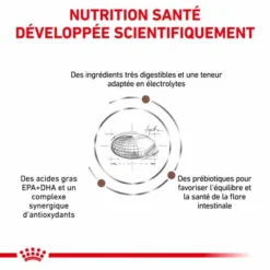 ROYAL CANIN Cat Gastro Intestinal Moderate Calorie -Alimentation boutique royal canin veterinary diet cat gastro intestinal moderate calorie 2