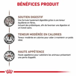 ROYAL CANIN Cat Gastro Intestinal Moderate Calorie -Alimentation boutique royal canin veterinary diet cat gastro intestinal moderate calorie 3