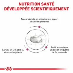 ROYAL CANIN Veterinary Health Nutrition Cat Renal -Alimentation boutique royal canin veterinary diet cat renal 2