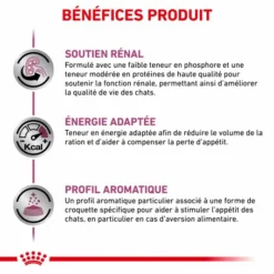 ROYAL CANIN Veterinary Health Nutrition Cat Renal -Alimentation boutique royal canin veterinary diet cat renal 3