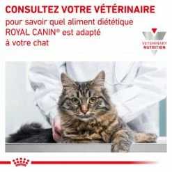 ROYAL CANIN Veterinary Health Nutrition Cat Renal Poulet Sachet -Alimentation boutique royal canin veterinary diet cat renal poulet boite 6