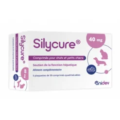 ANIDEV Silycure 40mg