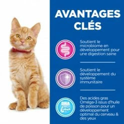 HILL'S Pet Nutrition Vet Essentials Kitten Growth ActivBiome+ Poulet 11 HILL'S Pet Nutrition Vet Essentials Kitten Growth ActivBiome+ Poulet -Alimentation boutique vet essentials chat kitten growth poulet 3