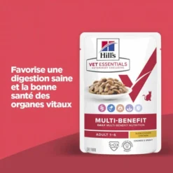 HILL'S Pet Nutrition Vet Essentials Chat Multi-Benefit Adulte Poulet Sachet Repas 12 HILL'S Pet Nutrition Vet Essentials Chat Multi-Benefit Adulte Poulet Sachet Repas -Alimentation boutique vet essentials chat multi benefit adult 1 poulet sachet repas 1