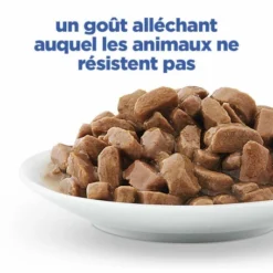 HILL'S Pet Nutrition Vet Essentials Chat Multi-Benefit Adult 1+ Saumon Sachet Repas -Alimentation boutique vet essentials chat multi benefit adult 1 saumon sachet re 5