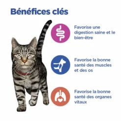 HILL'S Pet Nutrition Vet Essentials Chat Multi-Benefit Adult 1+ Saumon Sachet Repas -Alimentation boutique vet essentials chat multi benefit adult 1 saumon sachet re 6