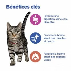 HILL'S Pet Nutrition Vet Essentials Chat Multi-Benefit Adult Pack Mixte Sachet Repas -Alimentation boutique vet essentials chat multi benefit adult poulet sa pack m 3