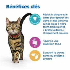 HILL'S Pet Nutrition Vet Essentials Chat Multi-Benefit + Dental Adult 1+ Poulet -Alimentation boutique vet essentials chat multi benefit dental adult 1 poulet 5