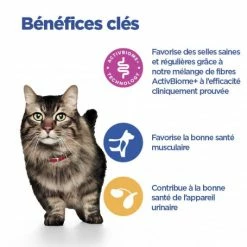 HILL'S Pet Nutrition Vet Essentials Chat Multi-Benefit + Digestion Adult 1+ Saumon -Alimentation boutique vet essentials chat multi benefit digestion adult 1 saum 3