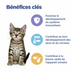 HILL'S Pet Nutrition Vet Essentials Chat Multi-Benefit Kitten Poulet Sachet Repas -Alimentation boutique vet essentials chat multi benefit kitten poulet sachet repas 2