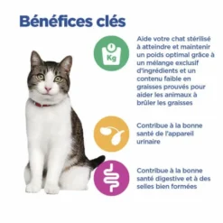 HILL'S Pet Nutrition Vet Essentials Chat Multi-Benefit + Weight Adult Poulet Sachets Repas -Alimentation boutique vet essentials chat multi benefit weight adult poulet sachets repas 7