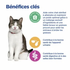 HILL'S Pet Nutrition Vet Essentials Chat Multi-Benefit + Weight Young Adult Poulet 16 HILL'S Pet Nutrition Vet Essentials Chat Multi-Benefit + Weight Young Adult Poulet -Alimentation boutique vet essentials chat multi benefit weight young adult poul 4
