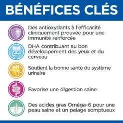 HILL'S Pet Nutrition Vet Essentials Feline Kitten Growth Poulet Sachet Repas -Alimentation boutique vet essentials feline kitten growth poulet sachet repas 4