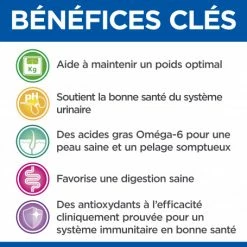 HILL'S Pet Nutrition Vet Essentials Feline Young Adult Neutered Cat Poulet Sachet Repas -Alimentation boutique vet essentials feline young adult neutered cat po sachet r 5