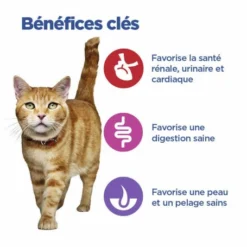 HILL'S Pet Nutrition Vet Essentials Mult-Benefit Chat Adult No Grain Thon & Pomme De Terre -Alimentation boutique vet essentials mult benefit chat adult no grain thon pdt 3