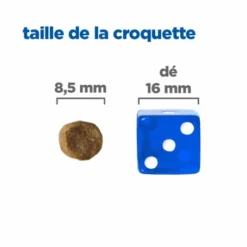 HILL'S Pet Nutrition Vet Essentials Mult-Benefit Chat Adult No Grain Thon & Pomme De Terre -Alimentation boutique vet essentials mult benefit chat adult no grain thon pdt 4