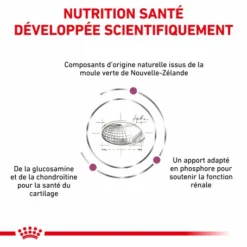 ROYAL CANIN Veterinary Health Nutrition Cat Mobility -Alimentation boutique veterinary diet cat mobility 2