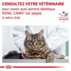 ROYAL CANIN Veterinary Health Nutrition Cat Mobility -Alimentation boutique veterinary diet cat mobility 7