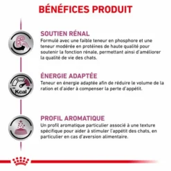 ROYAL CANIN Veterinary Health Nutrition Cat Renal Boeuf Sachet Repas 12 ROYAL CANIN Veterinary Health Nutrition Cat Renal Boeuf Sachet Repas -Alimentation boutique veterinary diet cat renal boeuf sachet repas 2