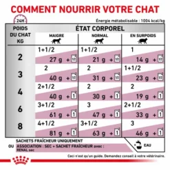 ROYAL CANIN Veterinary Health Nutrition Cat Renal Boeuf Sachet Repas 13 ROYAL CANIN Veterinary Health Nutrition Cat Renal Boeuf Sachet Repas -Alimentation boutique veterinary diet cat renal boeuf sachet repas 3