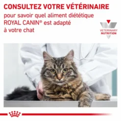 ROYAL CANIN Veterinary Health Nutrition Cat Renal Boeuf Sachet Repas 15 ROYAL CANIN Veterinary Health Nutrition Cat Renal Boeuf Sachet Repas -Alimentation boutique veterinary diet cat renal boeuf sachet repas 5