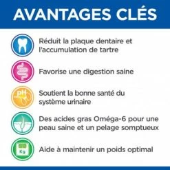 HILL'S Pet Nutrition Vet Essentials Feline Young Adult Dental Health 9 HILL'S Pet Nutrition Vet Essentials Feline Young Adult Dental Health -Alimentation boutique vetessentials feline young adult dental health 2