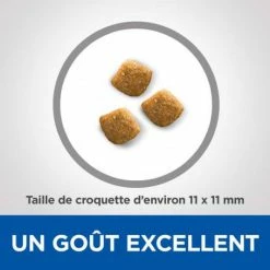 HILL'S Pet Nutrition Vet Essentials Feline Young Adult Dental Health 10 HILL'S Pet Nutrition Vet Essentials Feline Young Adult Dental Health -Alimentation boutique vetessentials feline young adult dental health 3