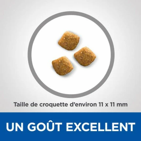 HILL'S Pet Nutrition Vet Essentials Feline Young Adult Dental Health 6 HILL'S Pet Nutrition Vet Essentials Feline Young Adult Dental Health – Image 4