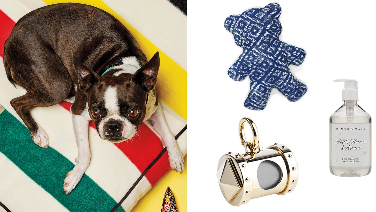 Alimentation boutique -Alimentation boutique dog split with pet stuff