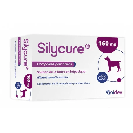 Alimentation boutique -Alimentation boutique silycure 160mg